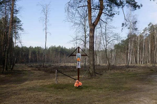 Orthodox cross on a fork in a road near a village in the forest.