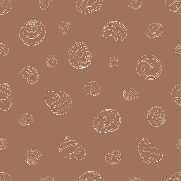 Deniz kabuğu arka plan