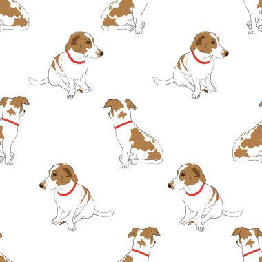 Güzel benekli köpek 