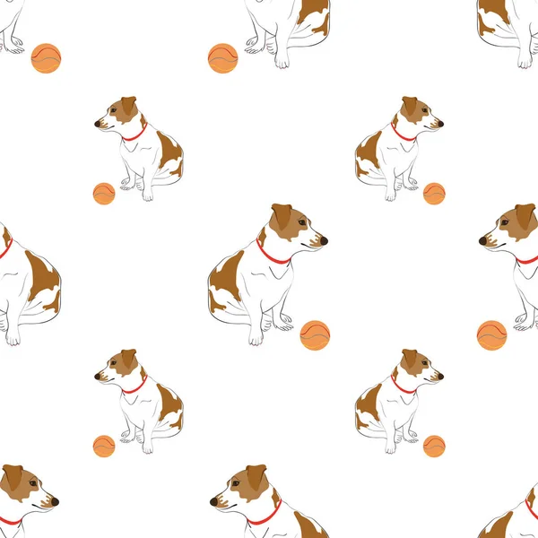 Güzel benekli köpek 