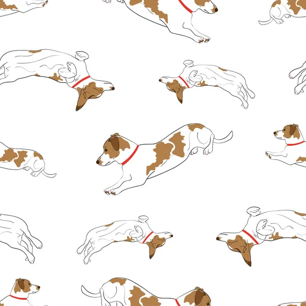 Güzel benekli köpek 