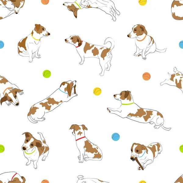 Güzel benekli köpek 