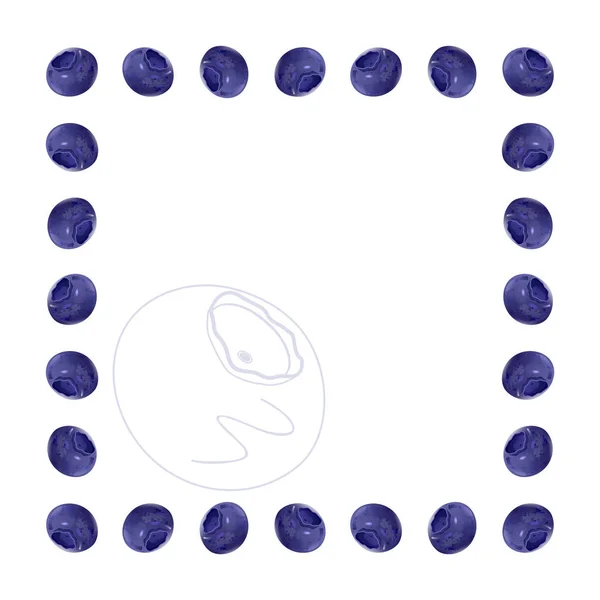 Olgun sulu yaban mersini