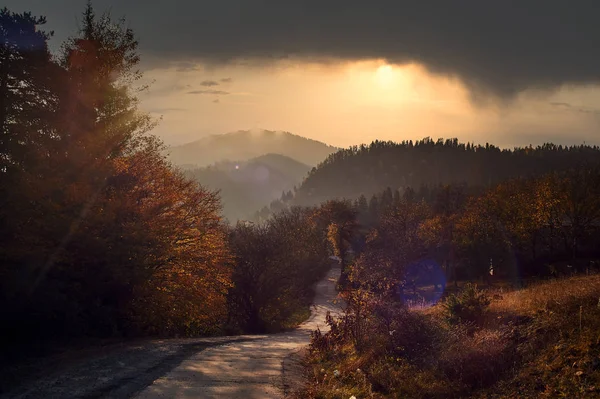 Beautiful Autumn Sunset Borjomi Georgia Golden Fall Leaves Forest Mountains — Stock Photo, Image
