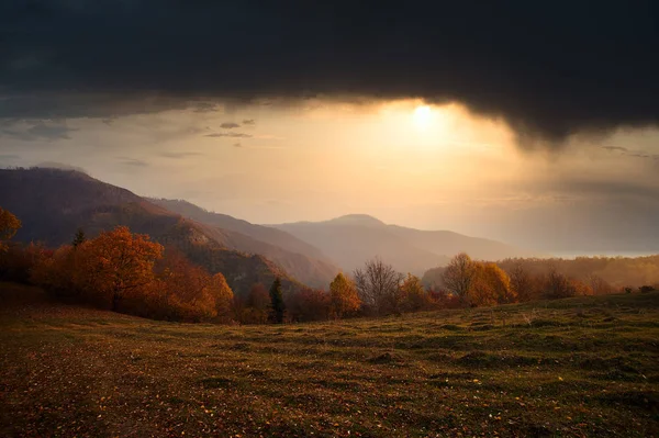 Beautiful Autumn Sunset Borjomi Georgia Golden Fall Leaves Forest Mountains — Stockfoto