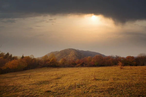 Όμορφο Φθινόπωρο Ηλιοβασίλεμα Στο Borjomi Γεωργία Χρυσά Φύλλα Και Δάσος — Φωτογραφία Αρχείου