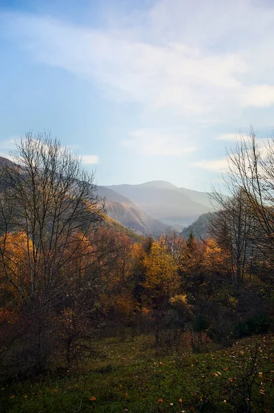 Прекрасний Осінній Захід Боржомі Джорджія Золоте Осіннє Листя Ліс Горах — стокове фото