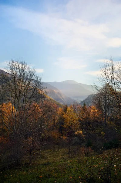 Beautiful Autumn Sunset Borjomi Georgia Golden Fall Leaves Forest Mountains — Stock Fotó