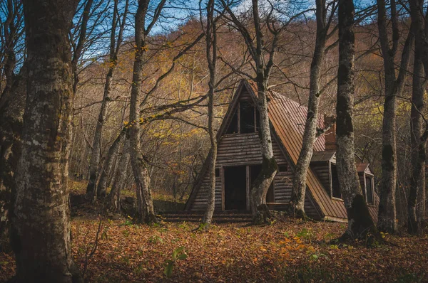 Tbilisi Georgia November 2018 Abandoned Home Tbilisi Georgia — Stock Fotó