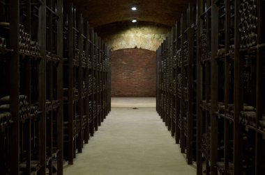 Tsinandali, Kakheti, Georgia November 10, 2019: Tsinandali Estate Wine Collection