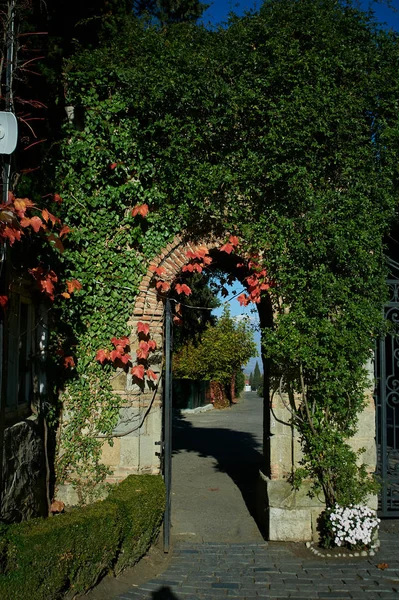 Tsinandali Kakheti Georgia November 2019 Flowery Gate — Stok fotoğraf