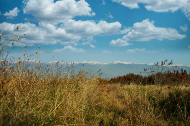 Beautiful nature with Caucasus Mountains in the background