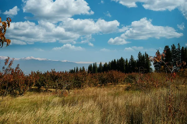 Beautiful Nature Caucasus Mountains Background — Stockfoto