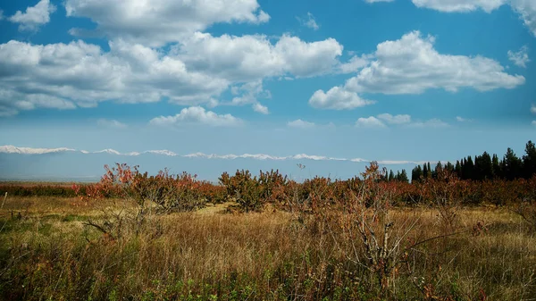 Beautiful Nature Caucasus Mountains Background Stock Picture