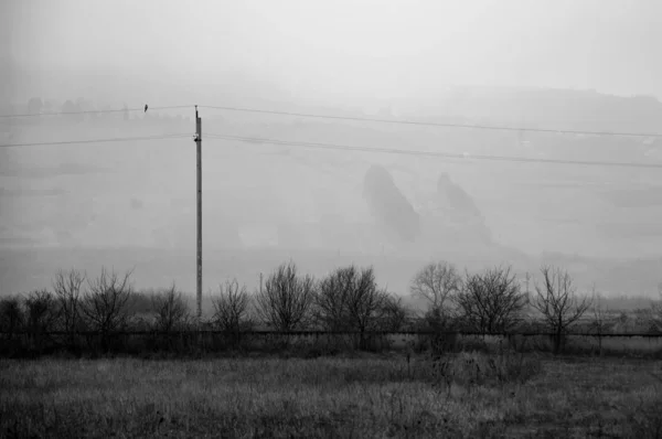Black and White Landscape in Bakuriani, Georgia