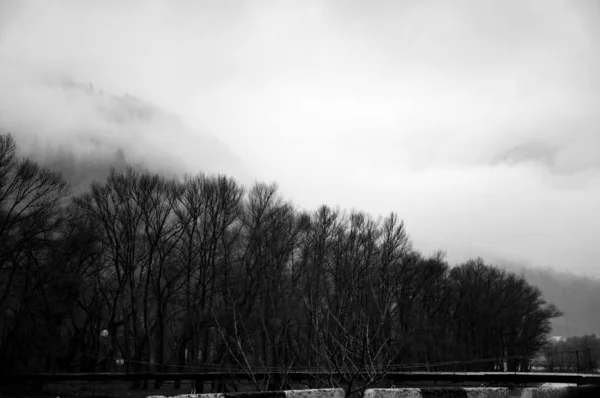 Black and White Landscape in Bakuriani, Georgia