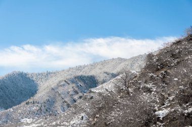 View of the mountain in Borjomi, Georgia
