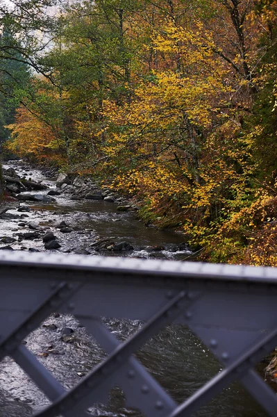 River full of autumn leaves seen from a bridge