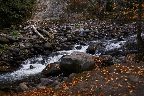 River full of autumn leaves seen from a bridge