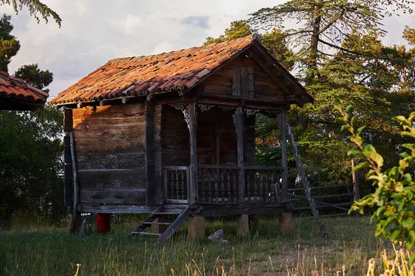 Tbilisi Georgia July 2019 Traditional Georgian House Local Ethnographic Museum — Stock Fotó