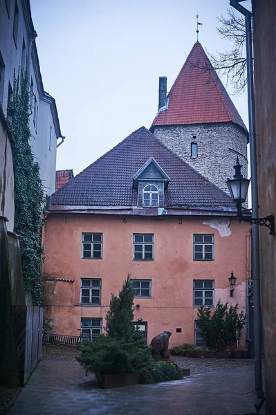 Tallinn Estonia December 2019 Winter Season Medieval Streets Old Town — Stockfoto