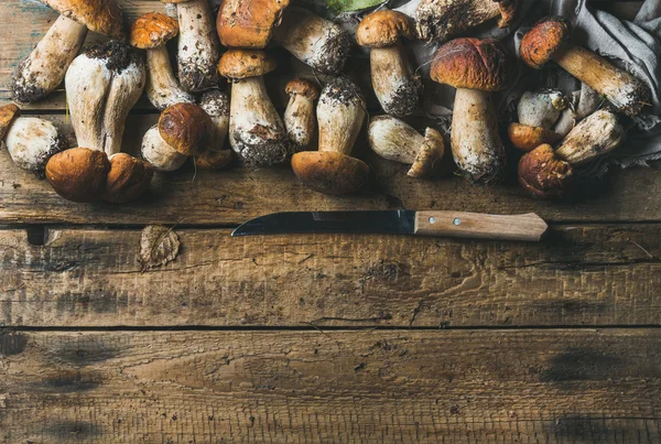Cogumelos da floresta branca e faca — Fotografia de Stock