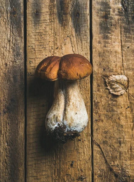 Fresh uncooked white forest mushroom