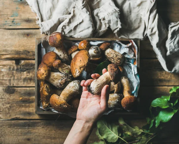 Mão de mulher segurando um dos cogumelos porcini frescos colhidos — Fotografia de Stock