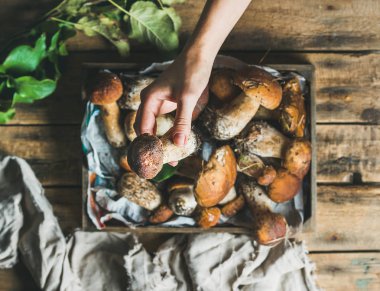 Ahşap tepsi ve mantar tutan kadının el Porcini mantar