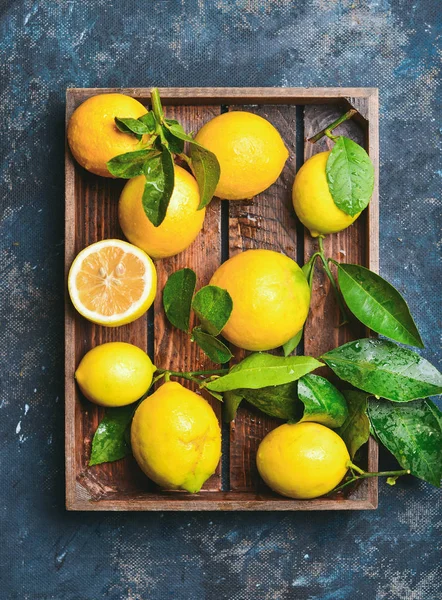 Freshly picked lemons — Stock Photo, Image