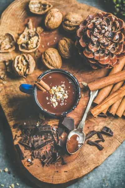 Hot chocolate with cinnamon — Stock Photo, Image