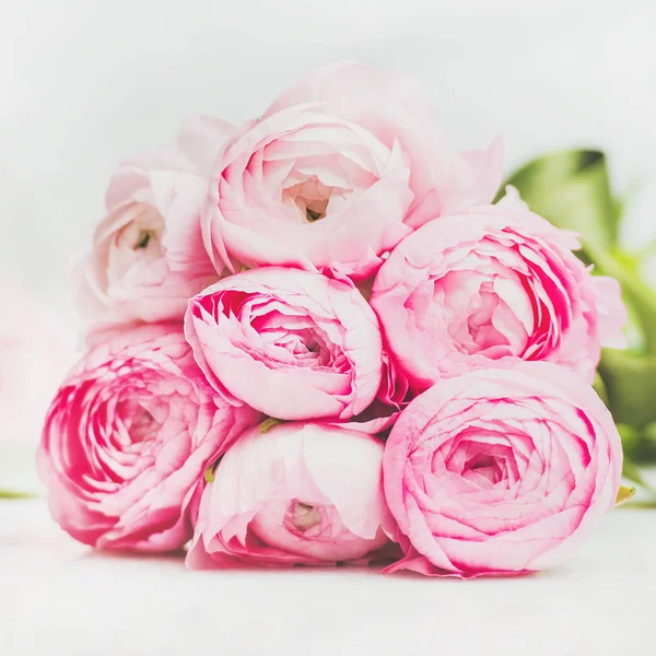 Светло-розовые цветки ранчо — стоковое фото