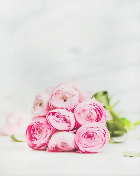 Light pink ranunkulus flowers — Stock Photo, Image