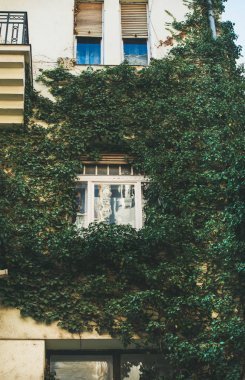 Bina cephe penceresiyle