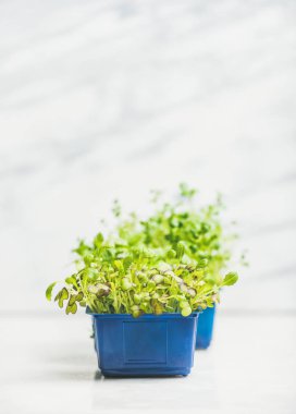 plastik kap içinde turp kress lahanası