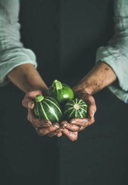 Çiftçi tutarak taze yeşil kabaklari