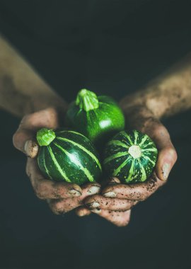 Yuvarlak kabakları tutan çiftçi