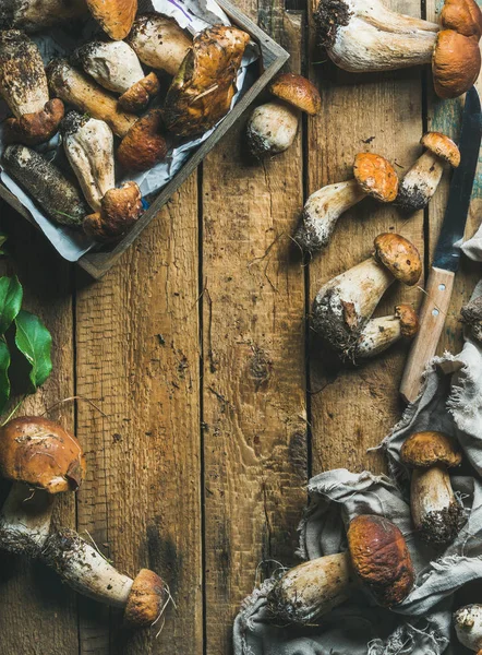 Свежесобранные белые грибы — стоковое фото