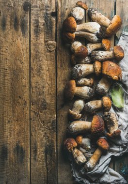 Taze çiğ orman mantar 