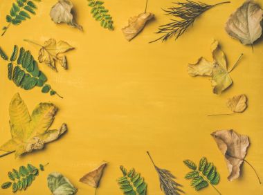 sonbaharda hasat arka plan