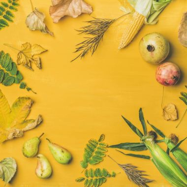 sonbaharda hasat arka plan