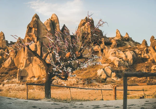 Doğal volkanik kaya 