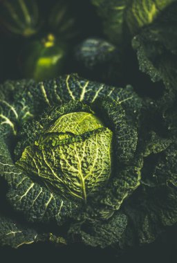 Çiğ taze yeşil lahana