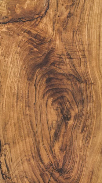 Olive wood slab texture