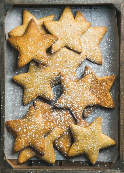 Biscoitos de gengibre de Natal — Fotografia de Stock