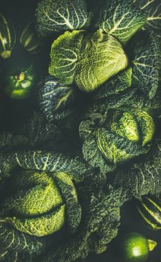 Çiğ yeşil lahana doku