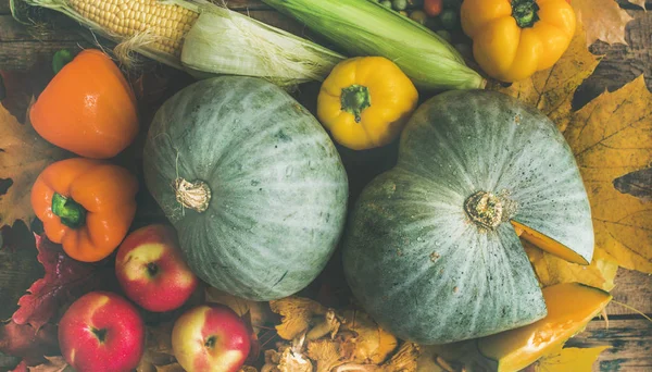 Hösten färgglada grönsaker sortiment — Stockfoto