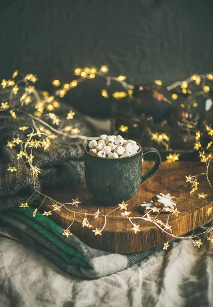 stock image Christmas winter hot chocolate 