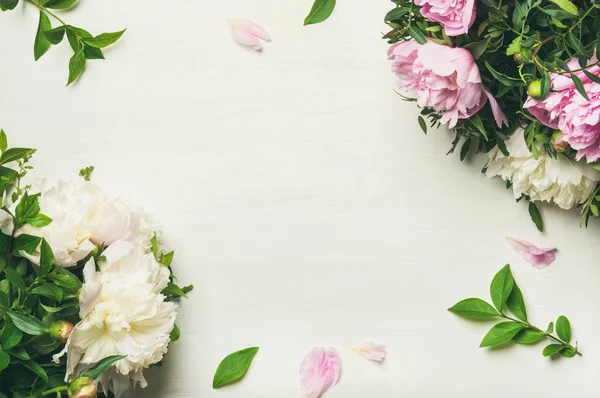 Flores de peonía sobre fondo blanco — Foto de Stock