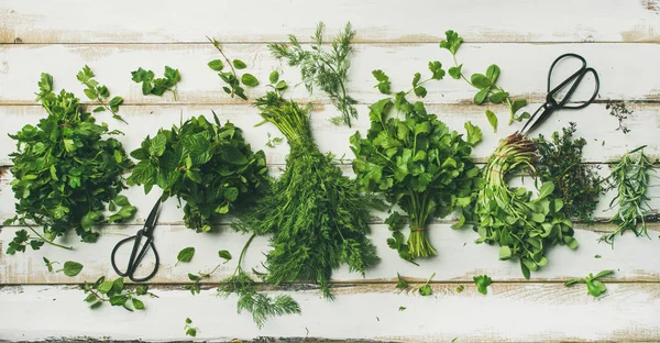 Různé čerstvé zelené kuchyňské byliny — Stock fotografie
